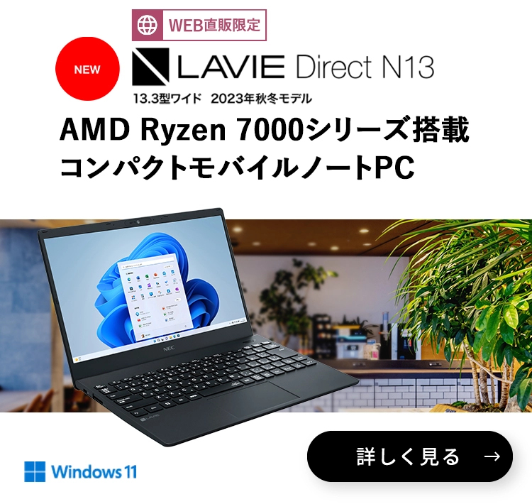 LAVIE Direct N13 13.3型ワイド コンパクトモバイルノートPC