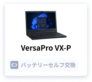 VersaPro VX-P