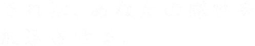 それは、あなたの感性を加速させる。